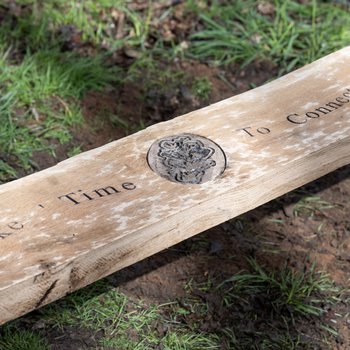 A wooden bench at Sherwood Forest