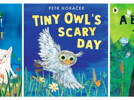 Three covers for Petr Horacek books - The Perfect Present (a black cat and a white cat holding hands), Tiny Owl's Scary Day (a little white owl on a blue background) and A Best Friend for Bear  (A black bear on a green background)