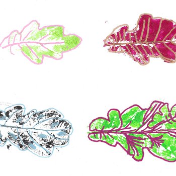 Four line drawings of colourful oak leaves