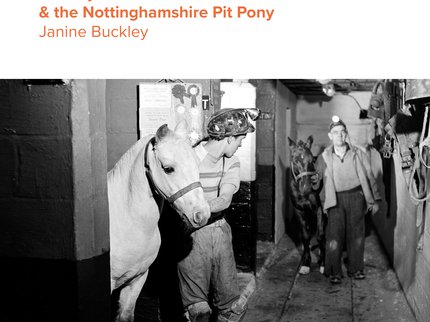 The Book cover for Colliery Stables and the Nottinghamshire Pit Pony by Janine Buckley