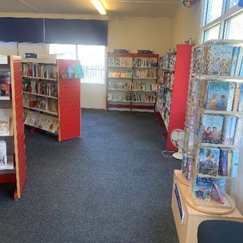 Adult Section