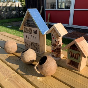 table with bird houses and feeders