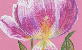 C Arnold Art for Beginners Pink Flower.jpg