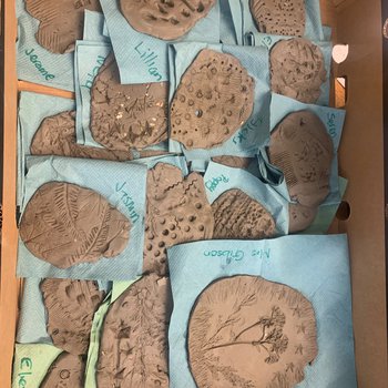 Output of environmental clay activity, spread out on the table on paper towels