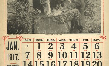 DD2463-2 (2) calendar, Jan 1917.jpg