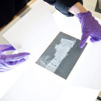 Conservator reviewing negatives