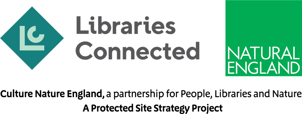 Libraries connect logo block