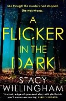 image - book cover a flicker in the dark