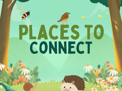 Places to Connect illustration with grass trees