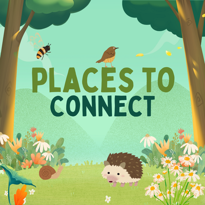 Places to Connect illustration with grass trees