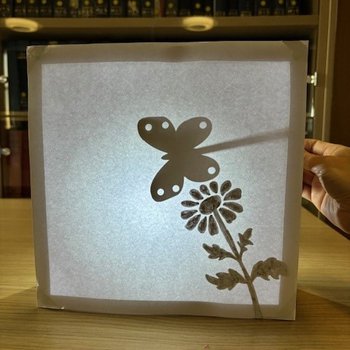 Shadow box theatre with the silhouette of a butterfly and flower