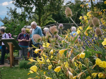 Photograph of yellow flowers in the foreground and blurred figures in the background.