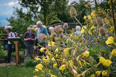 Photograph of yellow flowers in the foreground and blurred figures in the background.