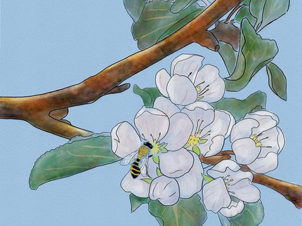 An oil painting of a bee on a branch with white blossom flowers