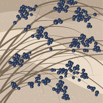 Stylised illustration of grass-like bush with dark blue berries