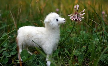 felting sheep.jpg