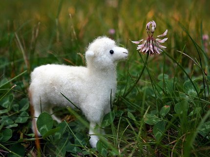 felting sheep.jpg