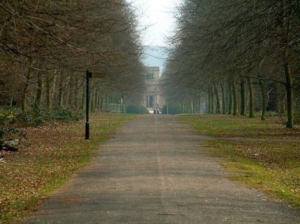 Photograph of a tree-lined driveway.