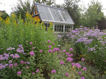 Cottage with flowers